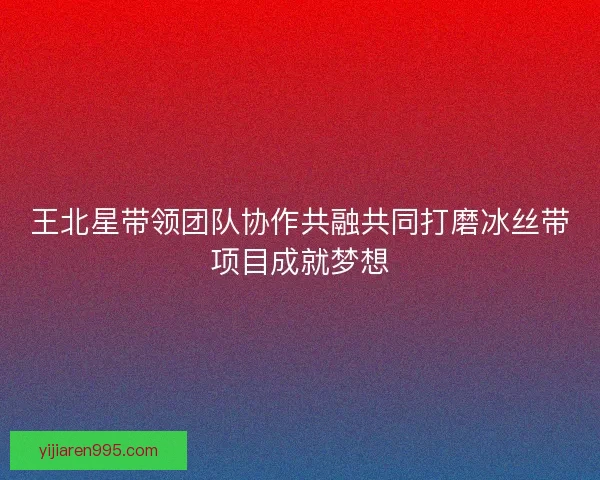王北星带领团队协作共融共同打磨冰丝带项目成就梦想