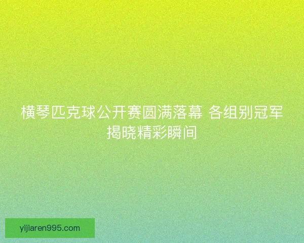 横琴匹克球公开赛圆满落幕 各组别冠军揭晓精彩瞬间